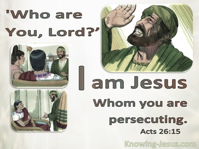 Acts 26:15 Who Are You. Jesus Whom You Are Persecuting (gray)